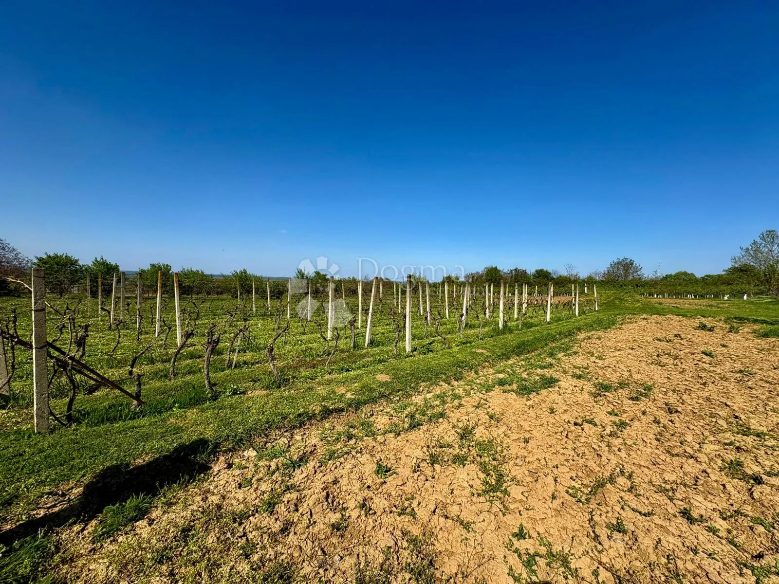 ekskluzivna vikendica s vinogradom - slika 8