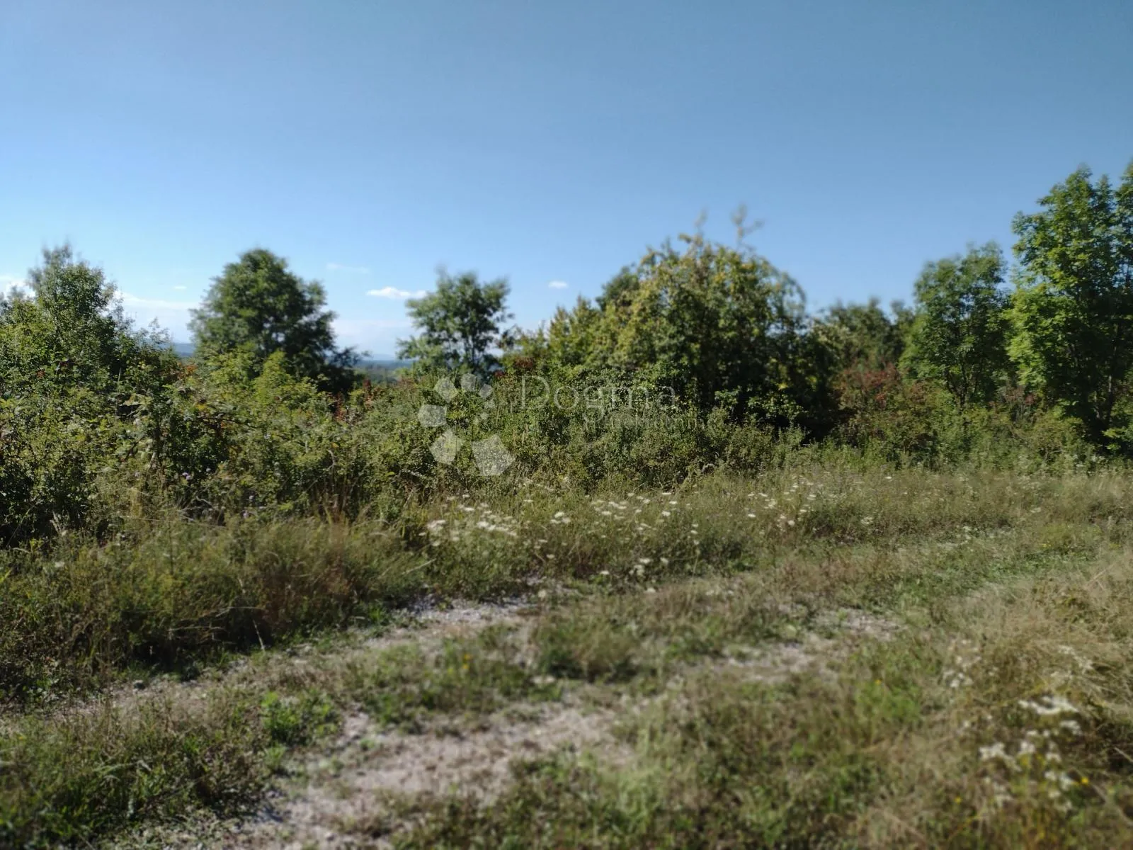30ha u komadu - rijetkost - slika 7