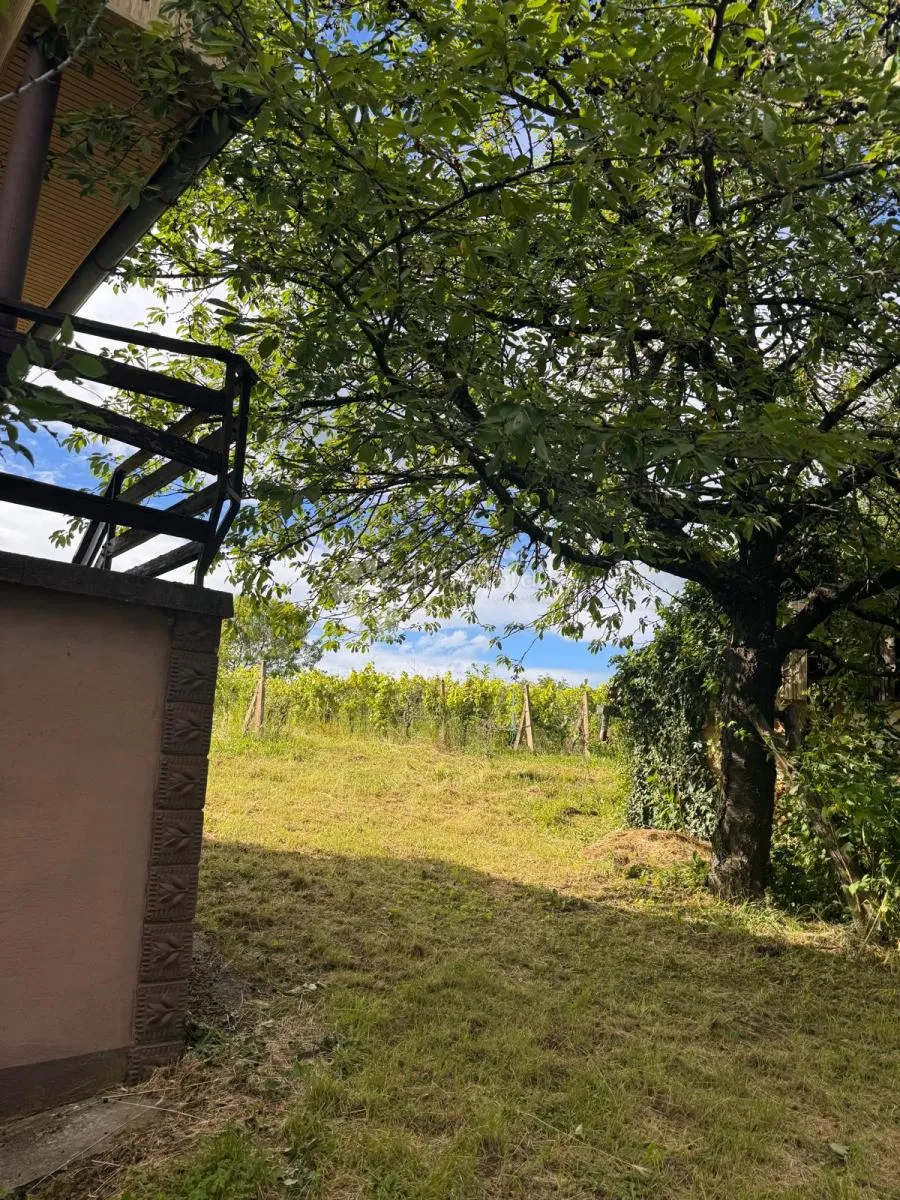 klijet s vinogradom na brežuljcima bilogore - slika 9