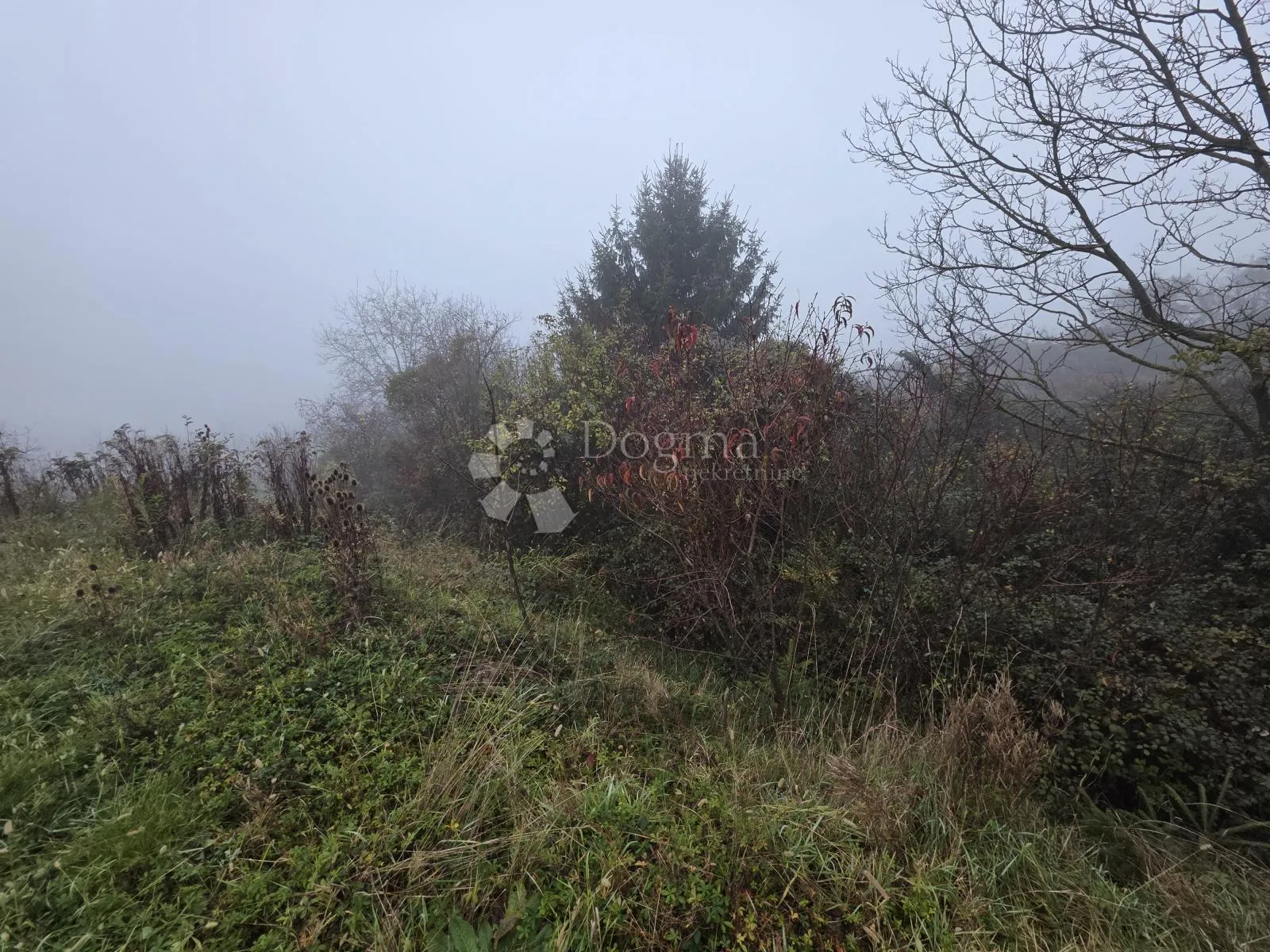 prirodna oaza mira: 435m² zemljišta na brijegu iznad jakovlja - slika 1