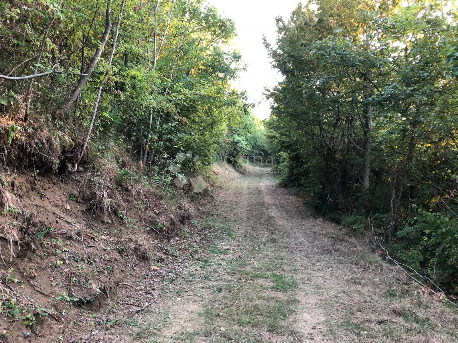 motovun - prekrasno imanje s panoramskim pogledom - slika 22