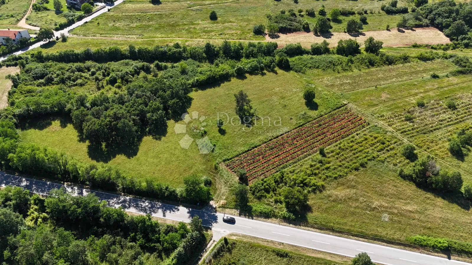 prostrano kombinirano zemljište prodol 6.370m2 - slika 3
