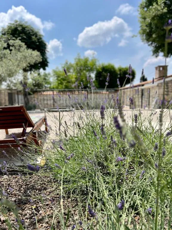 autentična istarska kamena kuća s dvije stambene jedinice, bazenom i dodatnim sadržajem - slika 16