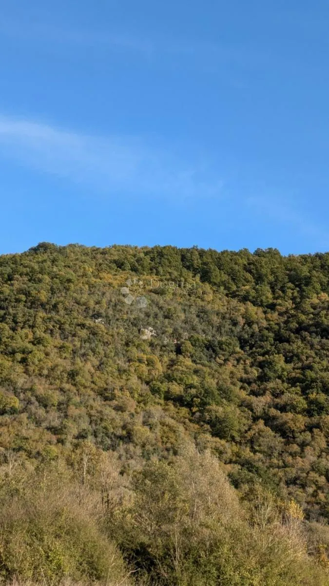 poljoprivredno zemljište sa širokim pristupnim putem - slika 3