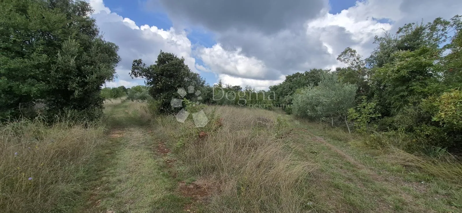 poljoprivredno zemljište kavran-1296 m2 - slika 3