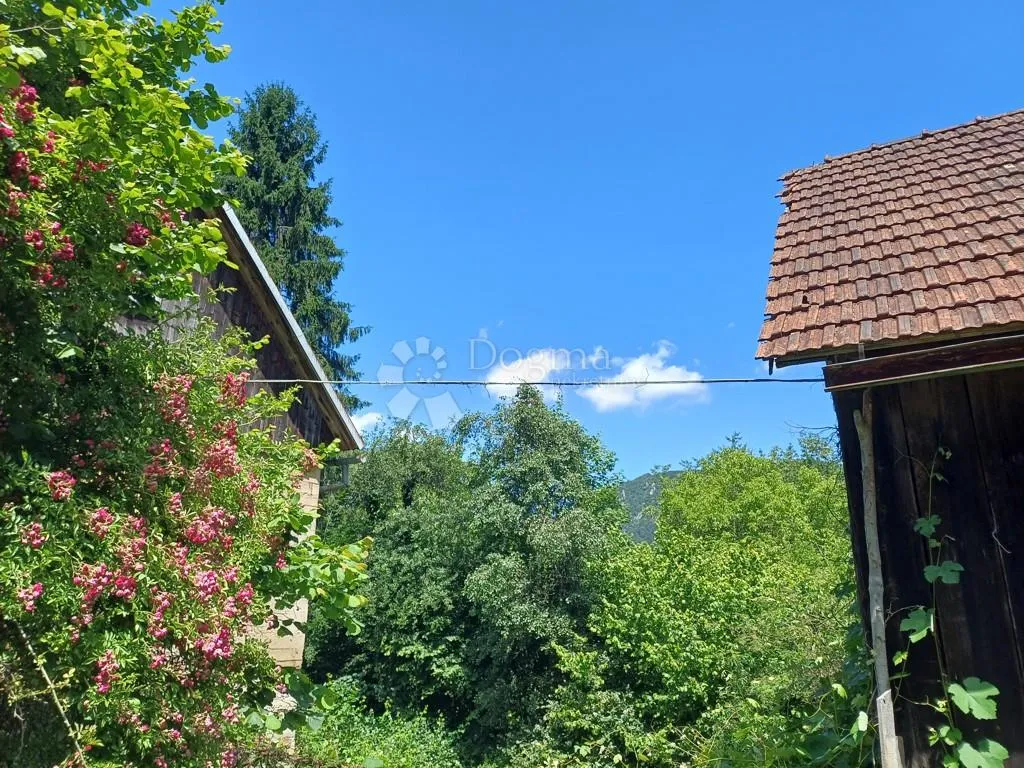 veliko imanje s kućom u srcu gorskog kotara - 33 759 m2 - slika 3