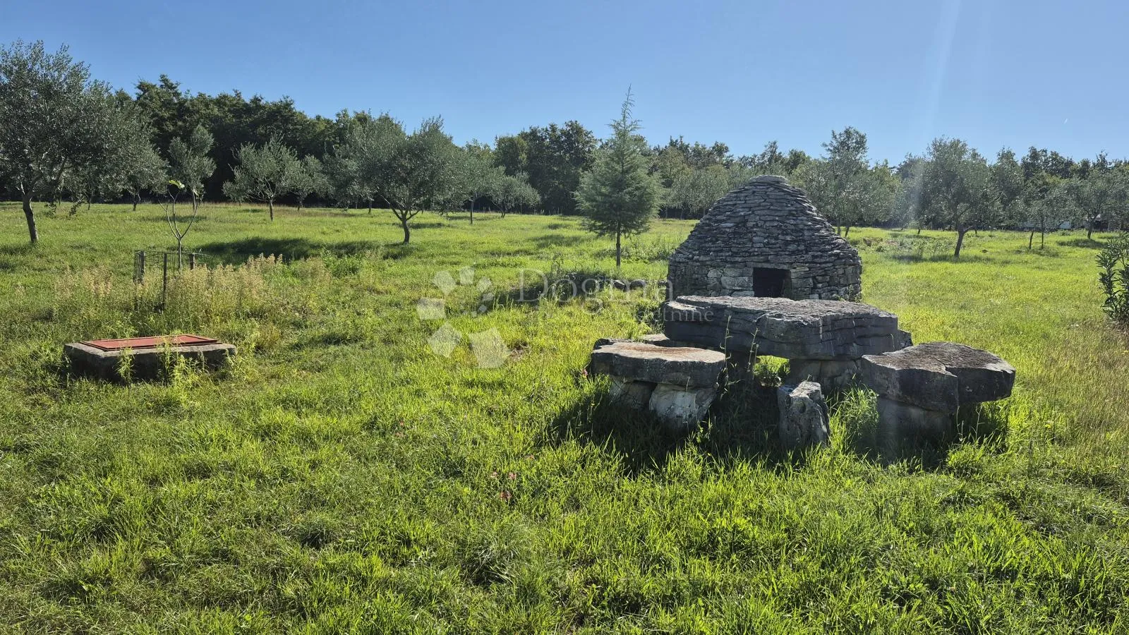 poljoprivredno zemljište sa istarskim kažunom i maslinama 13979 m2 - slika 3