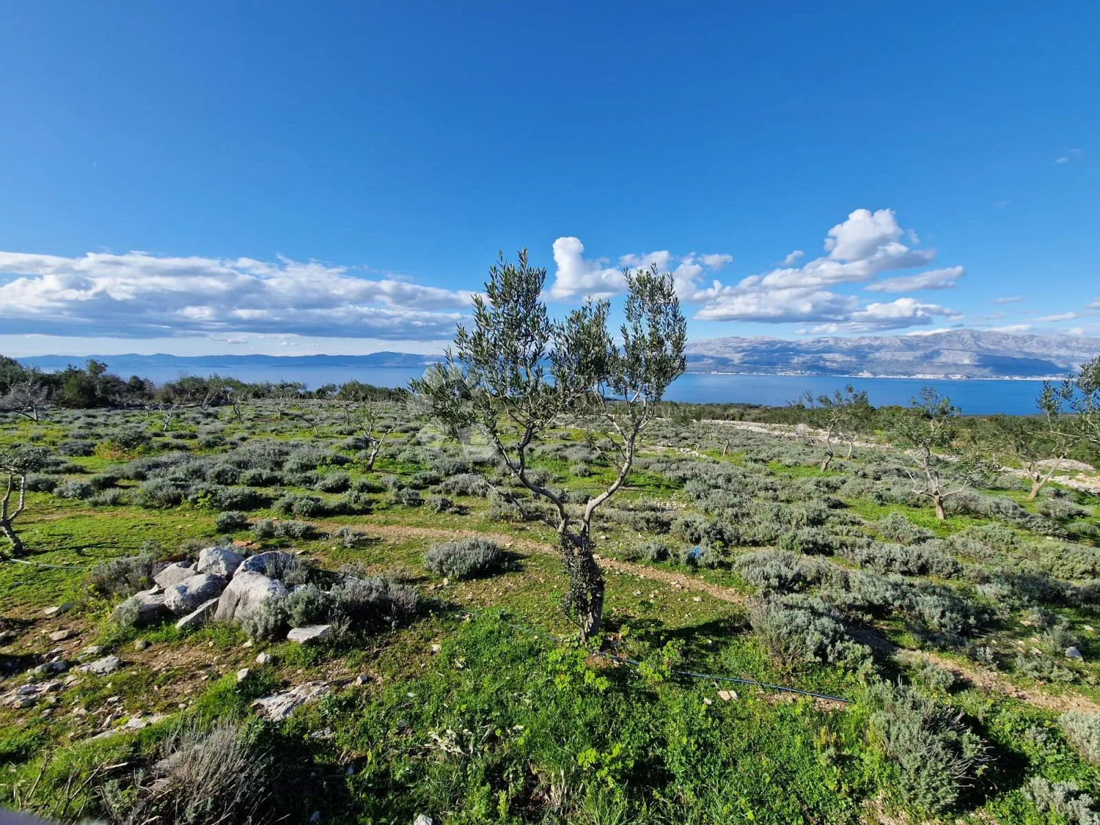 donji humac, zemljište za izgradnju opg-a, 12555 m2, pogled - slika 13