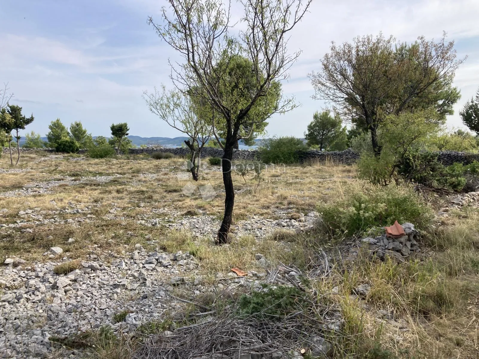 izvanredno građevinsko zemljište sa pogledom na prukljansko jezero - slika 7