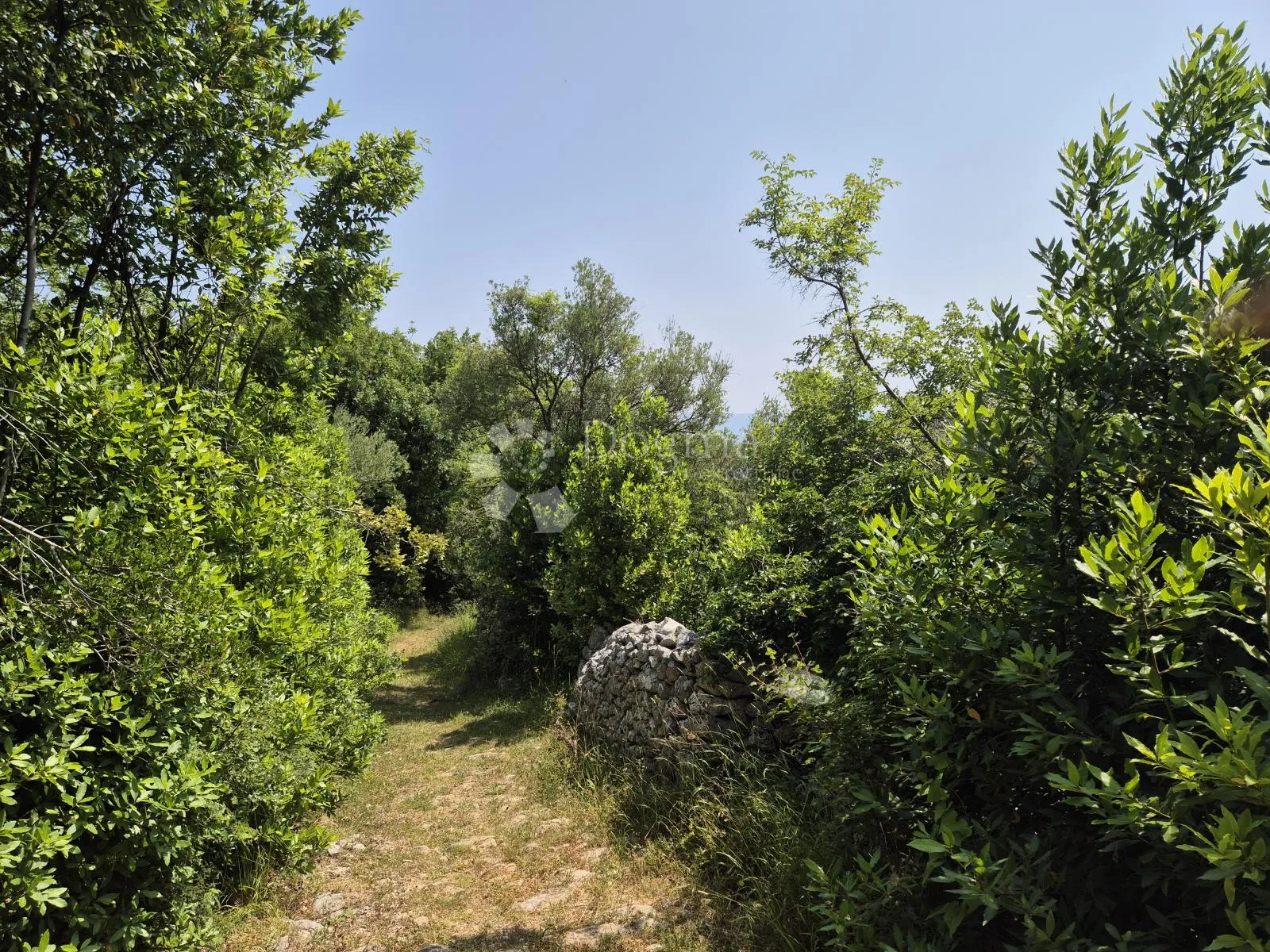 građevinsko zemljište s otvorenim pogledom na kvarner - slika 3