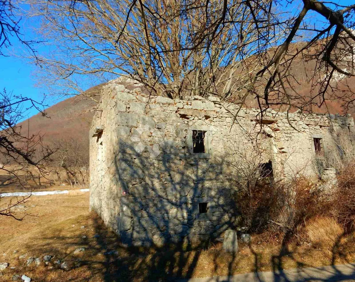 ruševna starina na učki - slika 2