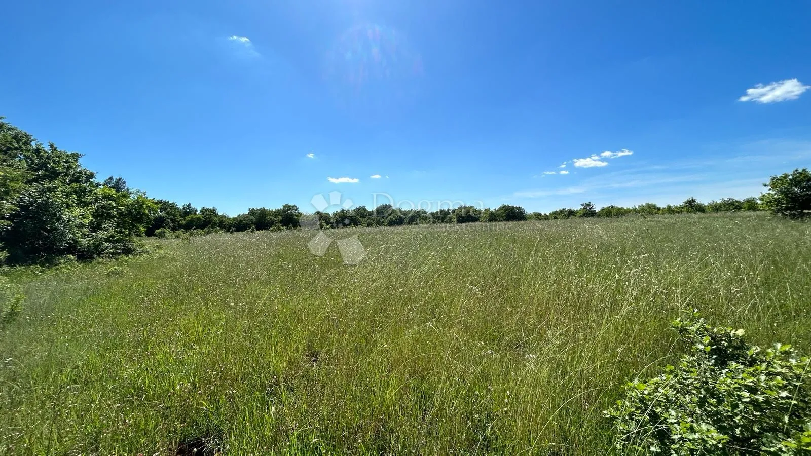 šuma u marčani: 17544 m² s pristupnim putem - slika 1