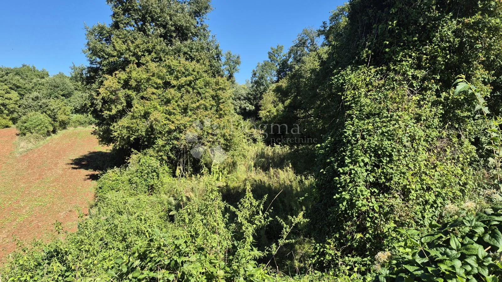 prodaje se poljoprivredno zemljište površine 1636 m2 u cukrićima - slika 3