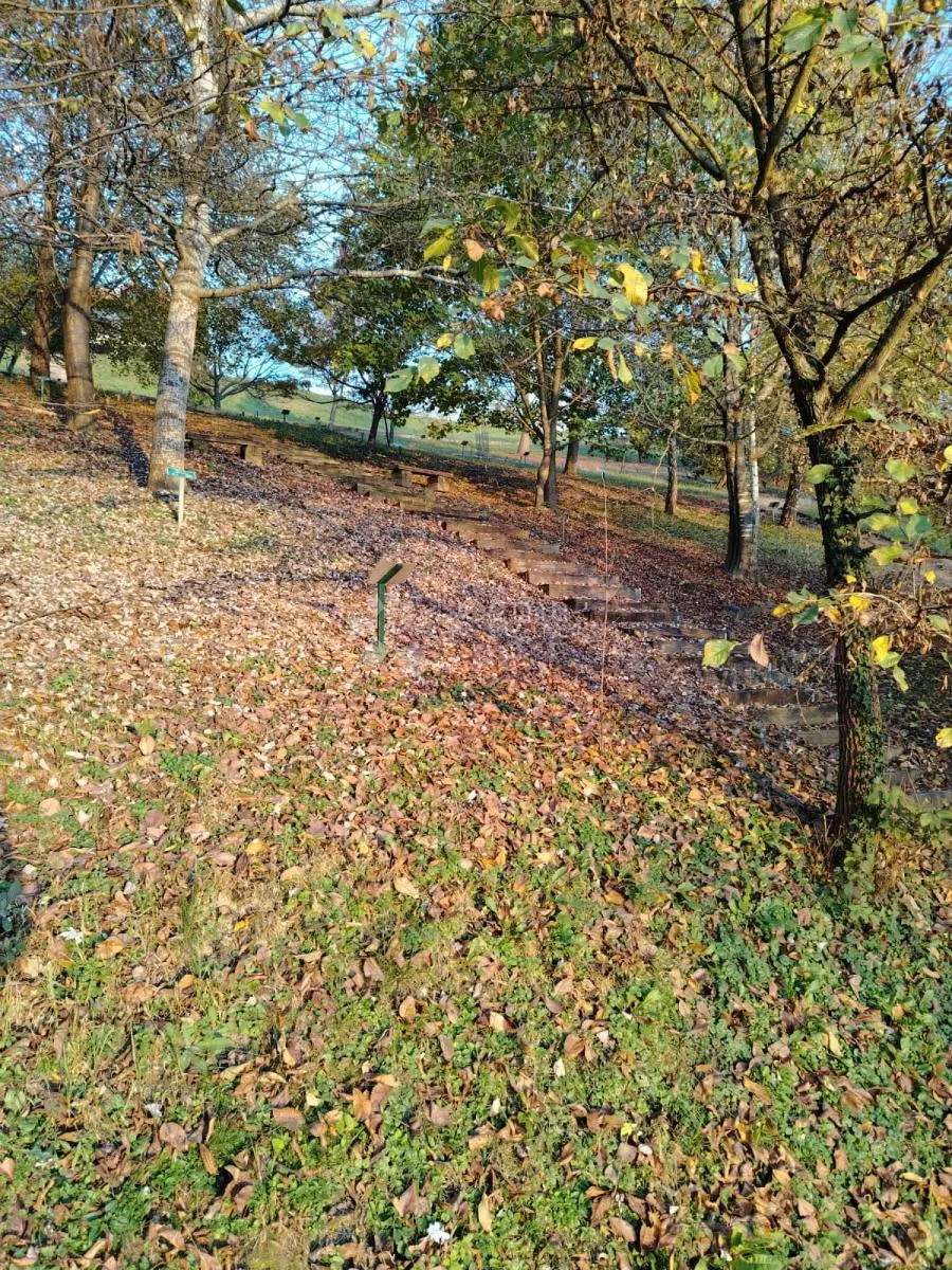 poljoprivredno zemljište picelj 4km od centra zaboka - slika 15
