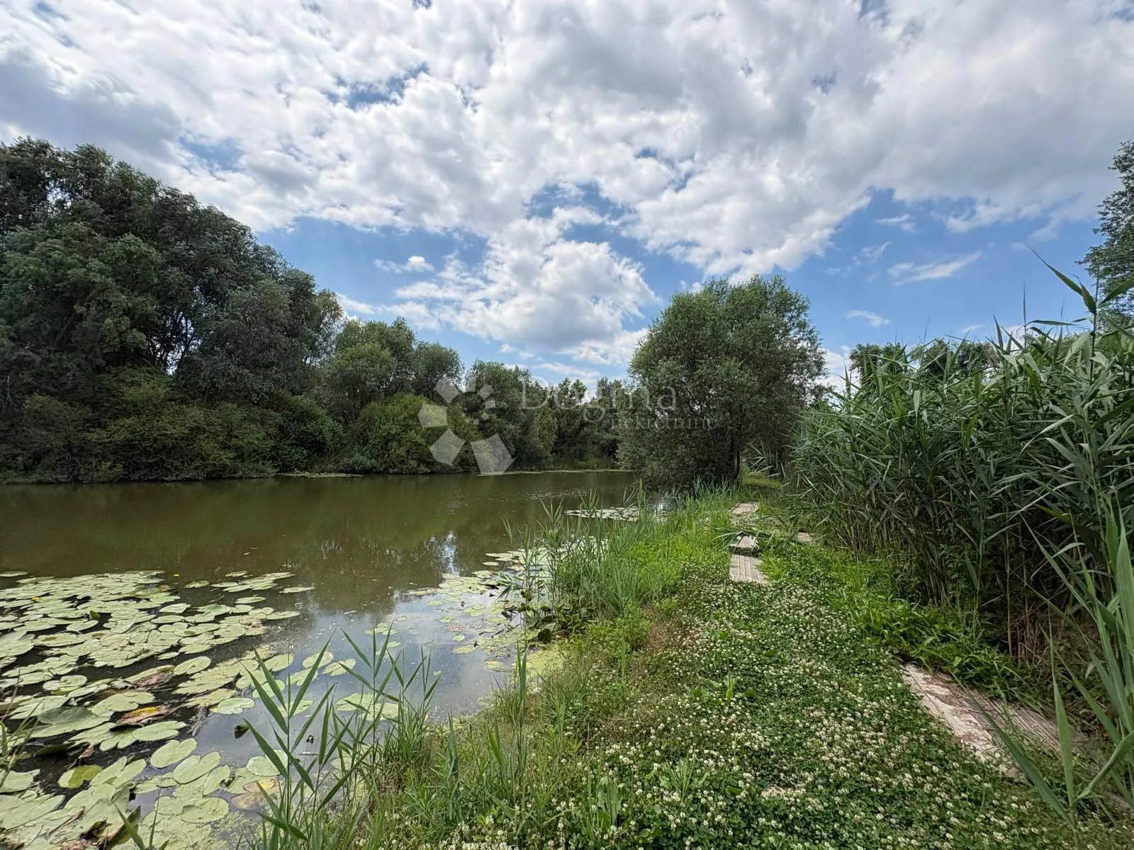 atraktivno imanje s ribnjakom i turističkim potencijalom - slika 36