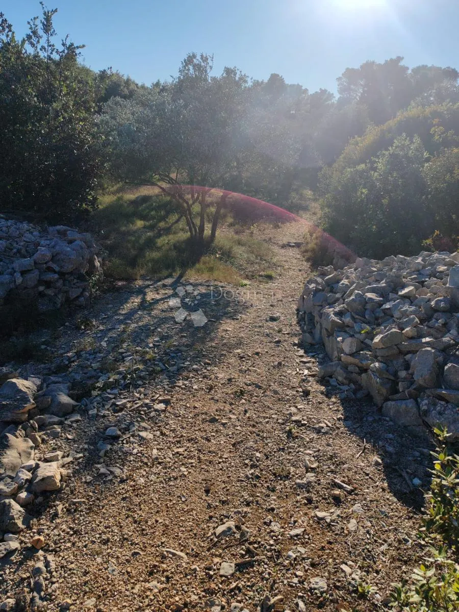 zablaće - šibenik - maslinik - slika 7