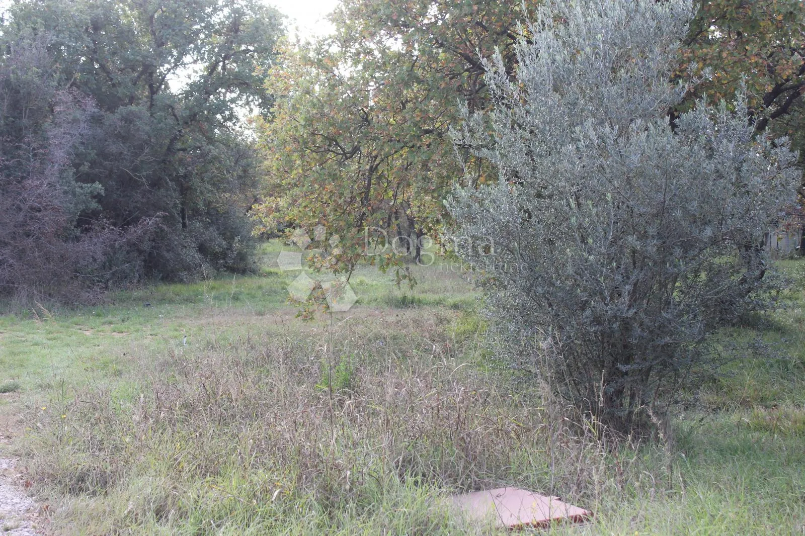 top lokacija - blizina mora - slika 3