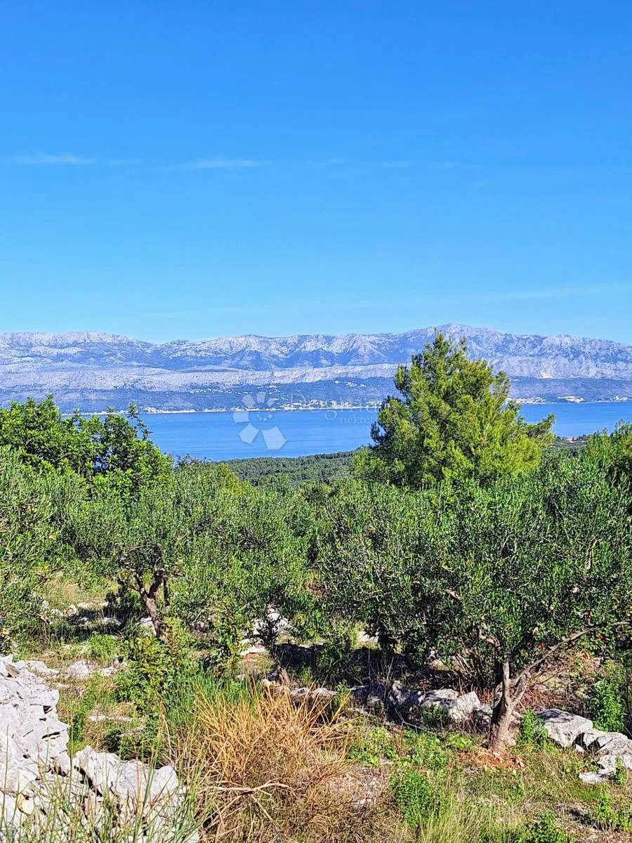 Poljoprivredno Zemljište Na Odličnoj Lokaciji – Mirca, Brač - Mirca, Supetar