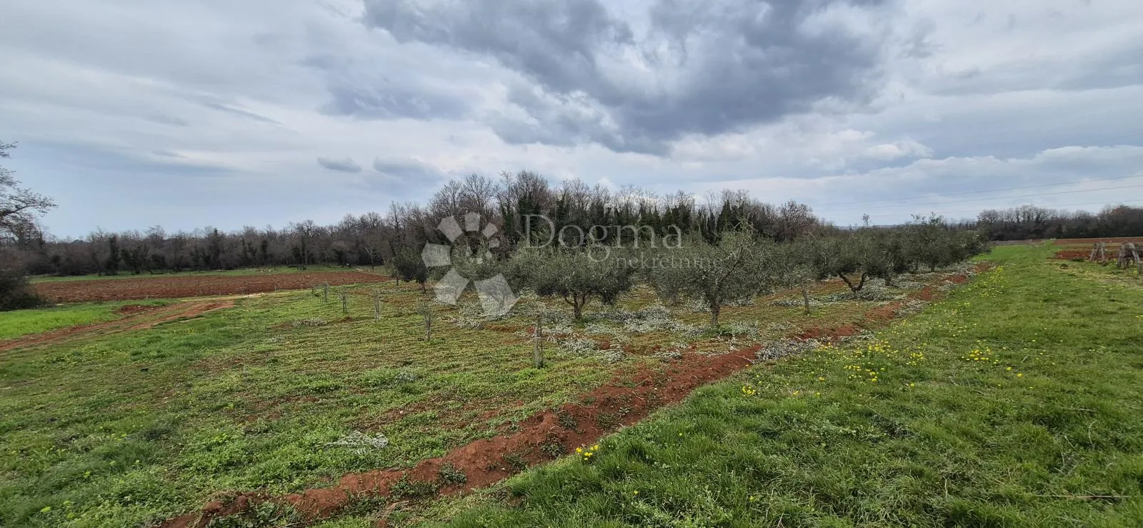 zemljište sa 60 maslina površine 10200 m2 - slika 8