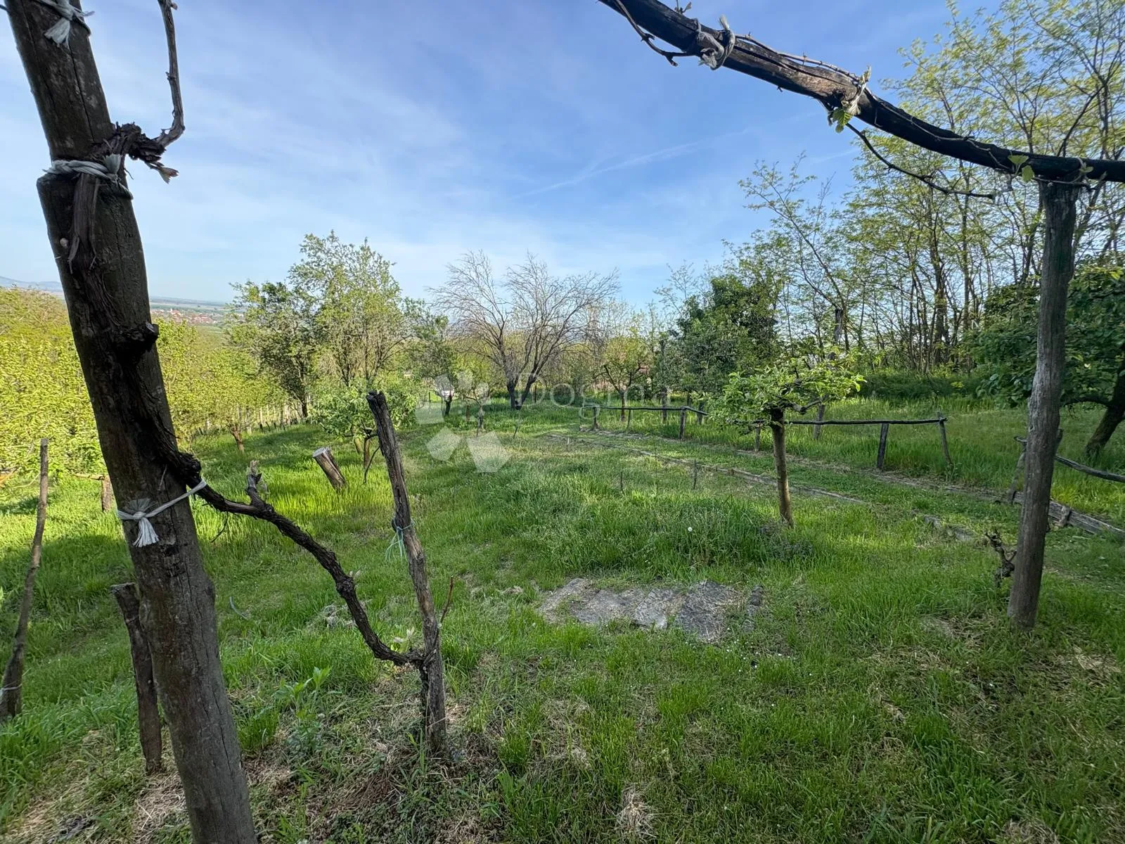 oaza mira i privatnosti – vikendica s vinogradom i 3.797 m² okućnice - slika 31