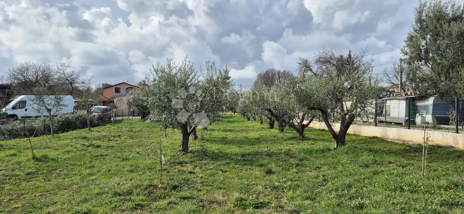 maslinik sa kamenim kažunom površine 15 m2, 1,5 km od mora - slika 12