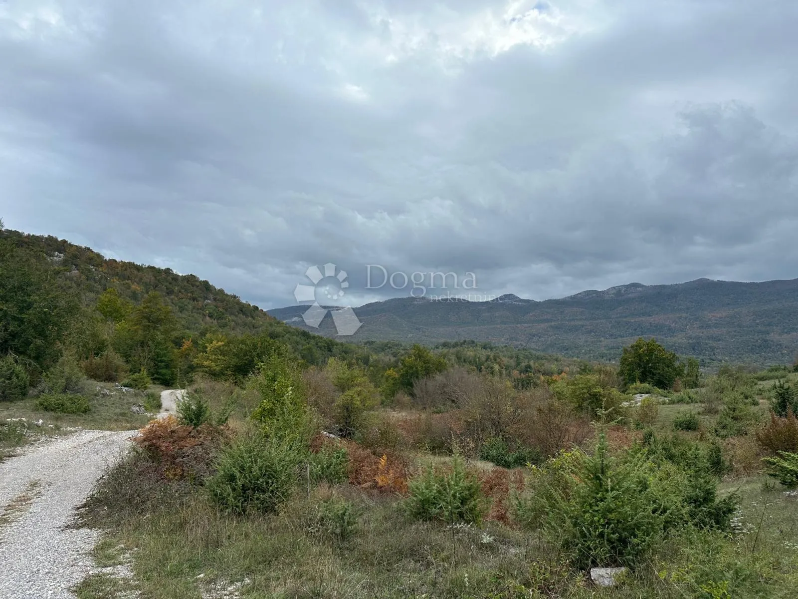 sv rok građevinsko zemljište 50000 m2 - slika 3