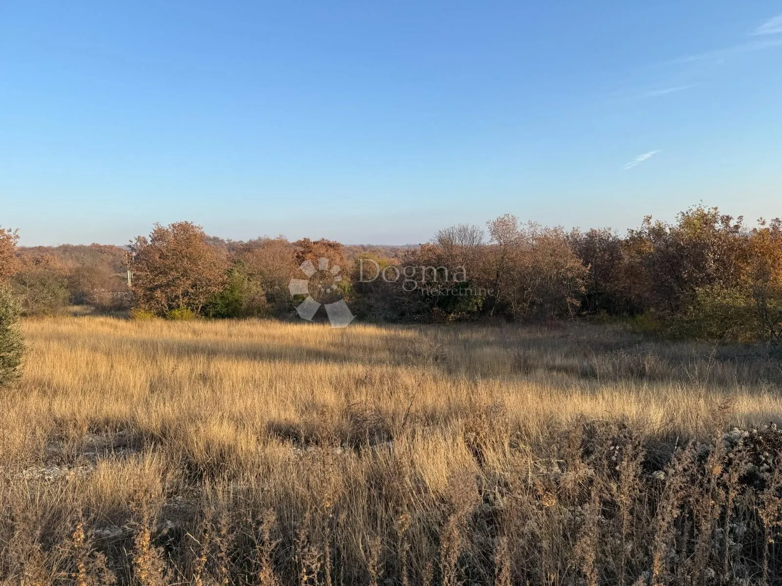 sveti lovreč, građevinsko zemljište 1.520m2-prilika - slika 5