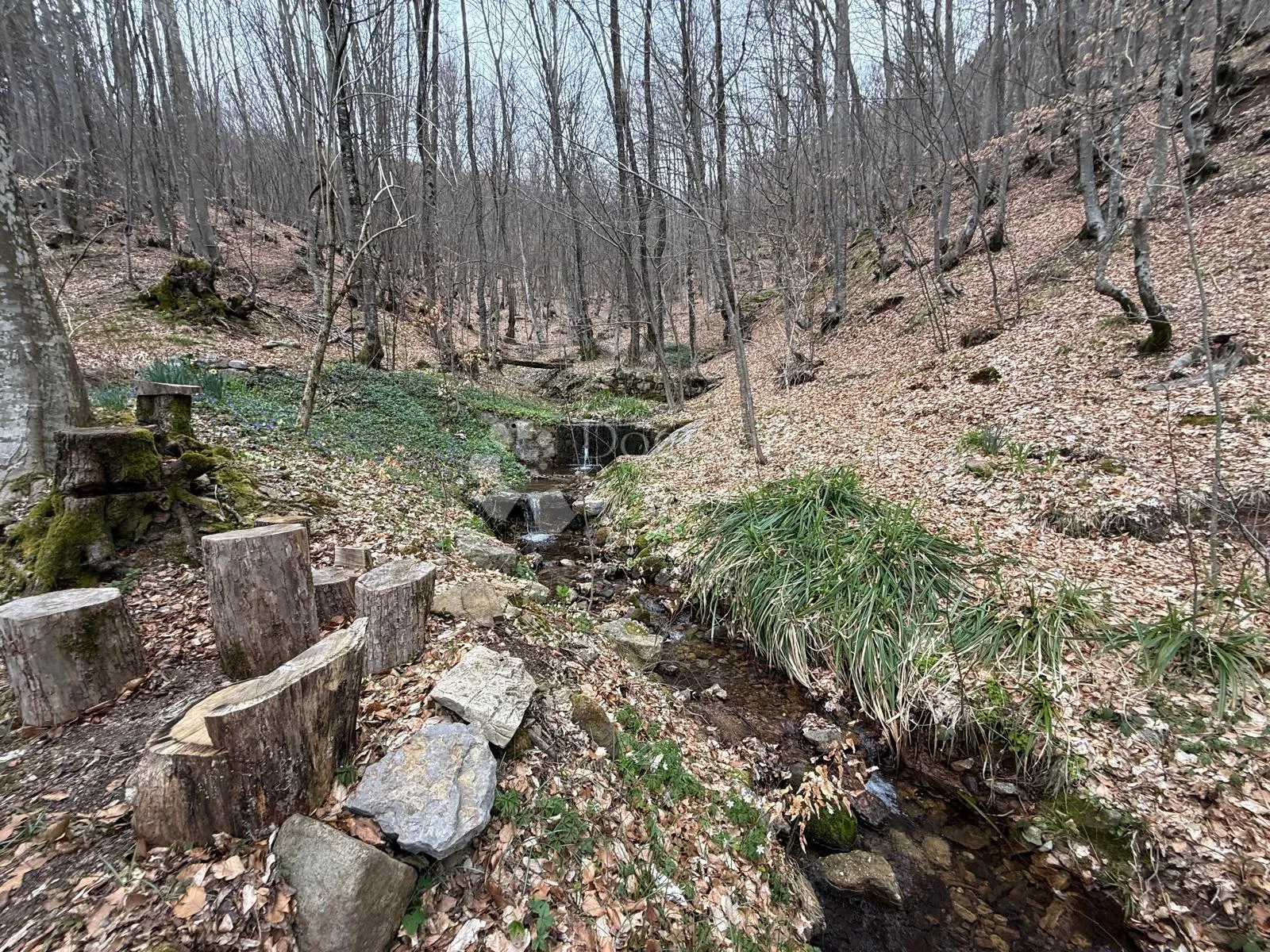 kuća 2 apartmana 2 građ zemljišta poljo 3000m2 - slika 28