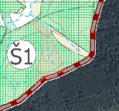 4ha grabove šume u komadu - slika 7