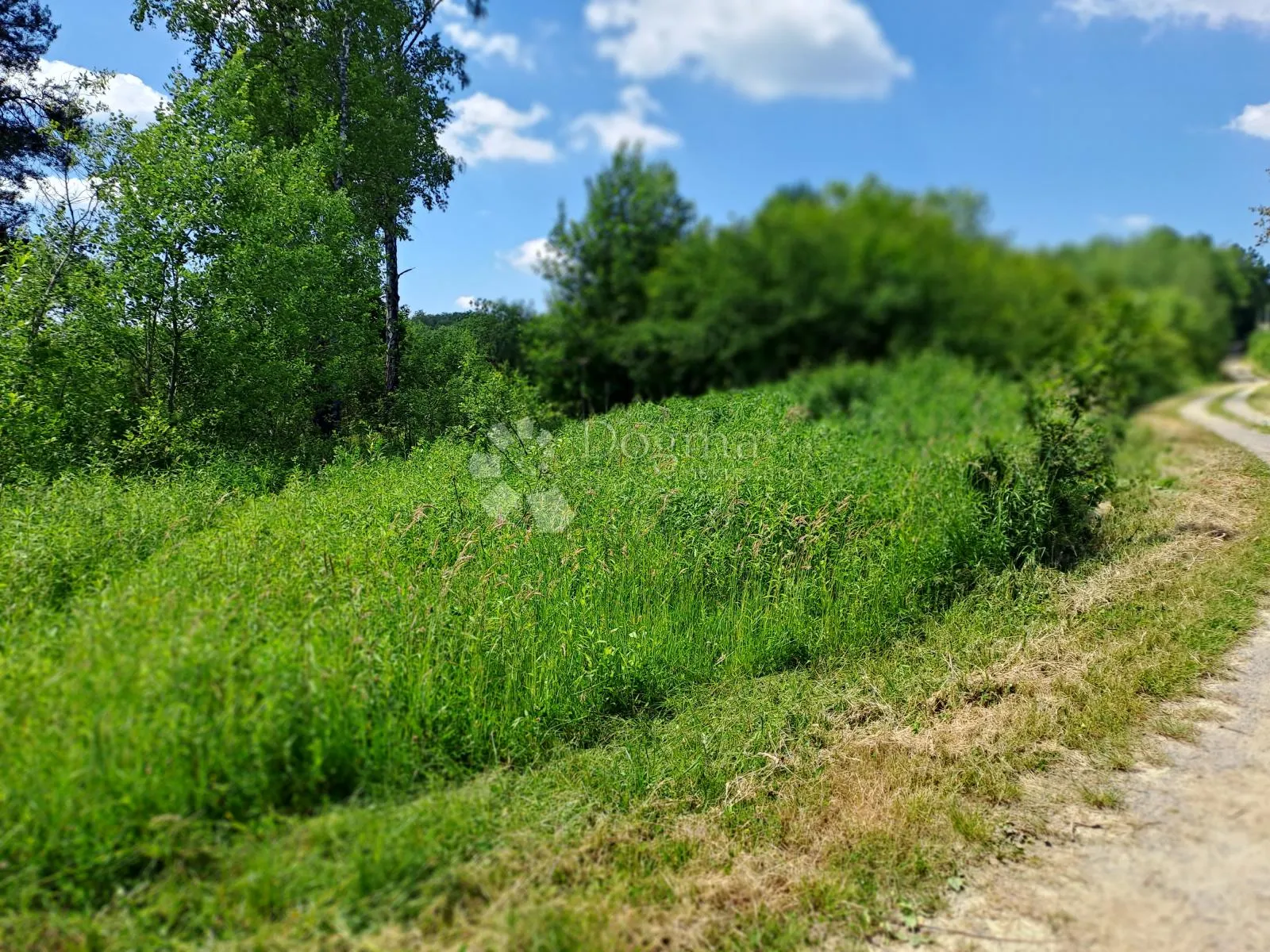 zemljište u blizini 2 kupališta s projektom - slika 8