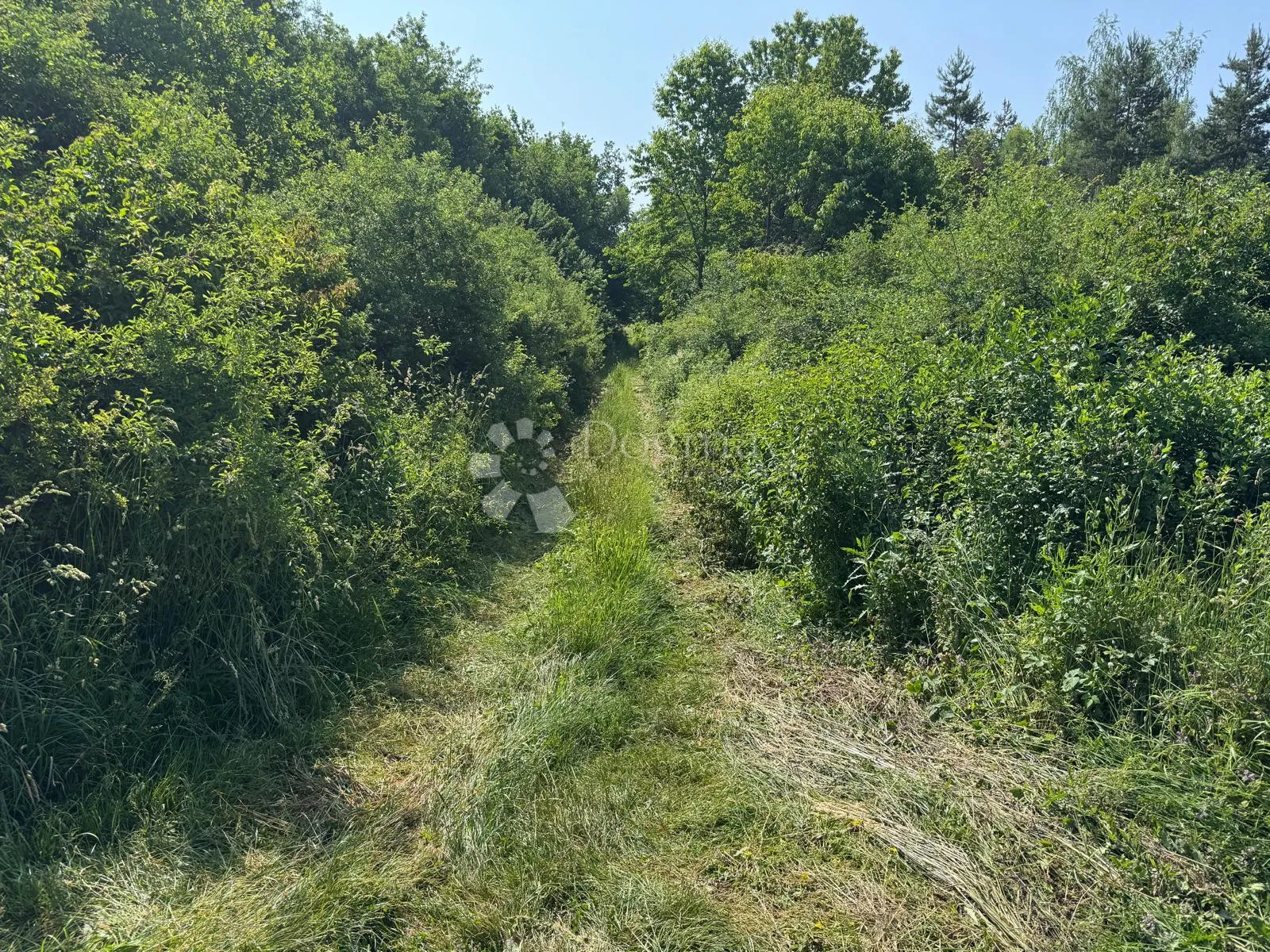 smiljansko polje preljepo zemljište na mirnoj lokaciji - slika 7