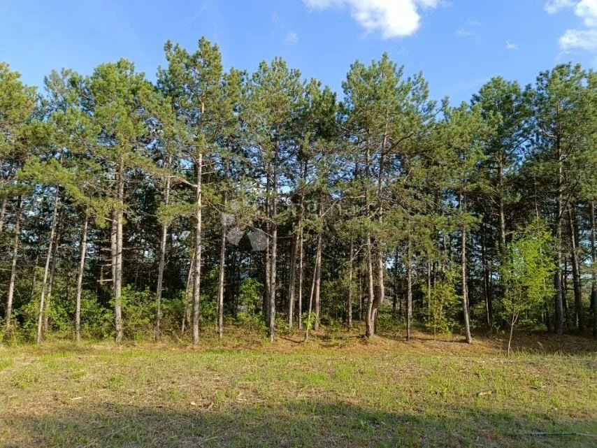 građevinsko zemljište (2000m2) s bogatom šumom (36789 m2) - slika 7