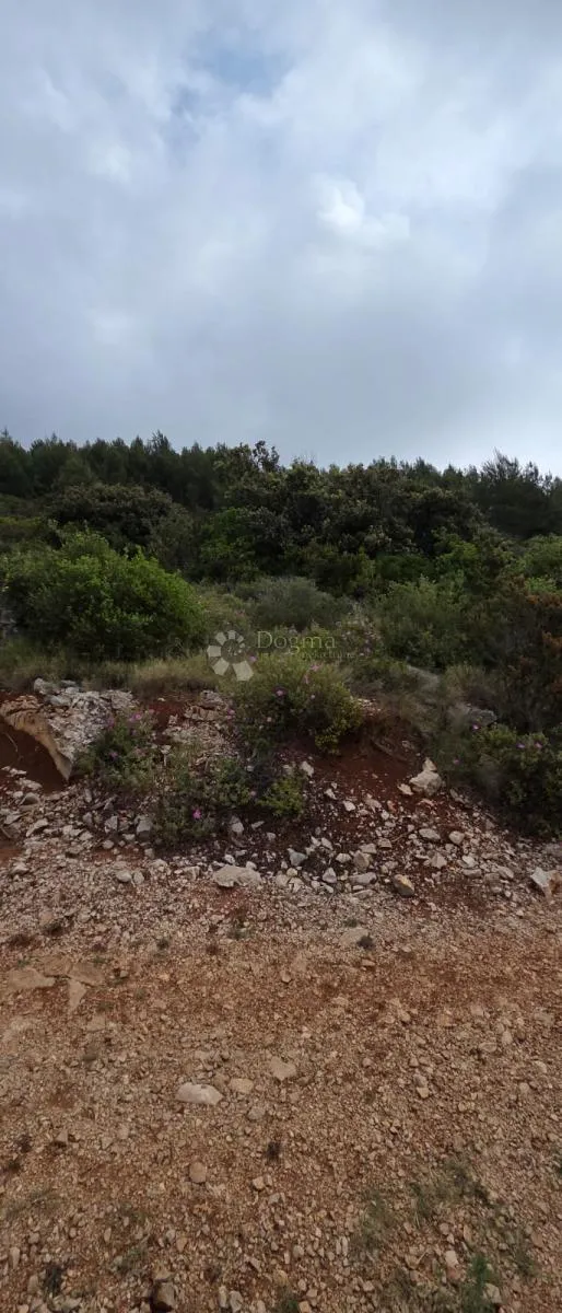 zemljište na prodaju, pogled na more, otok korčula, čara - slika 8