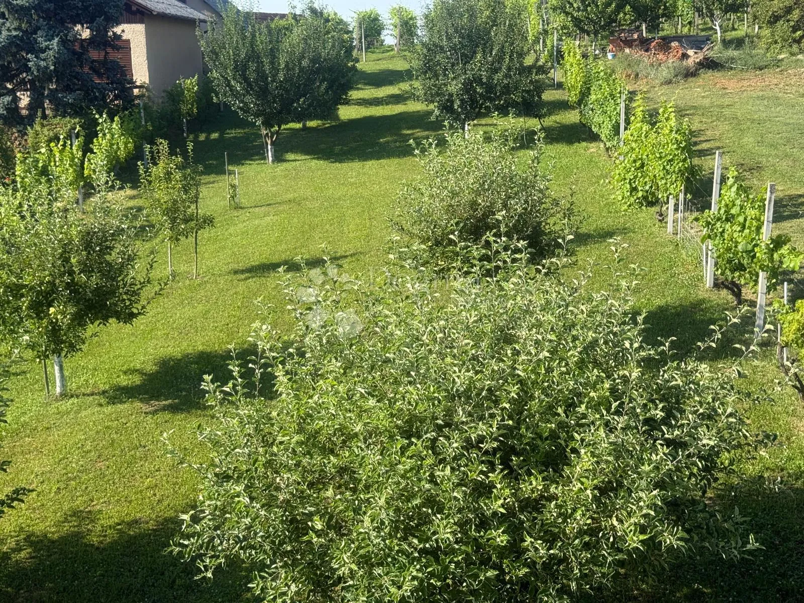 tražena lokacija - slika 29