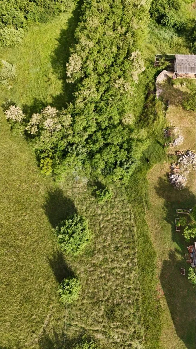 muntić – zemljište 1.516 m², 7 km do mora - slika 2
