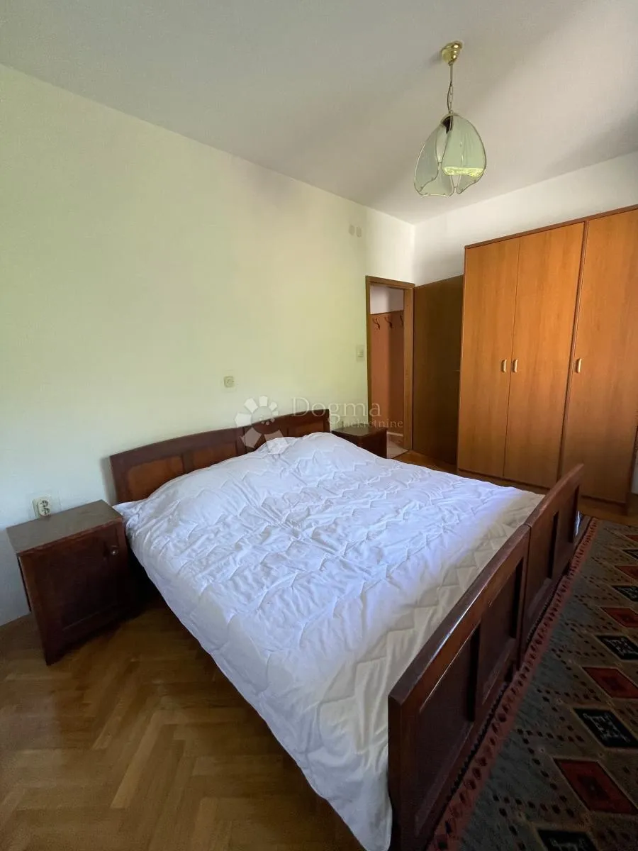 komadić raja koji traži pažnju - slika 30