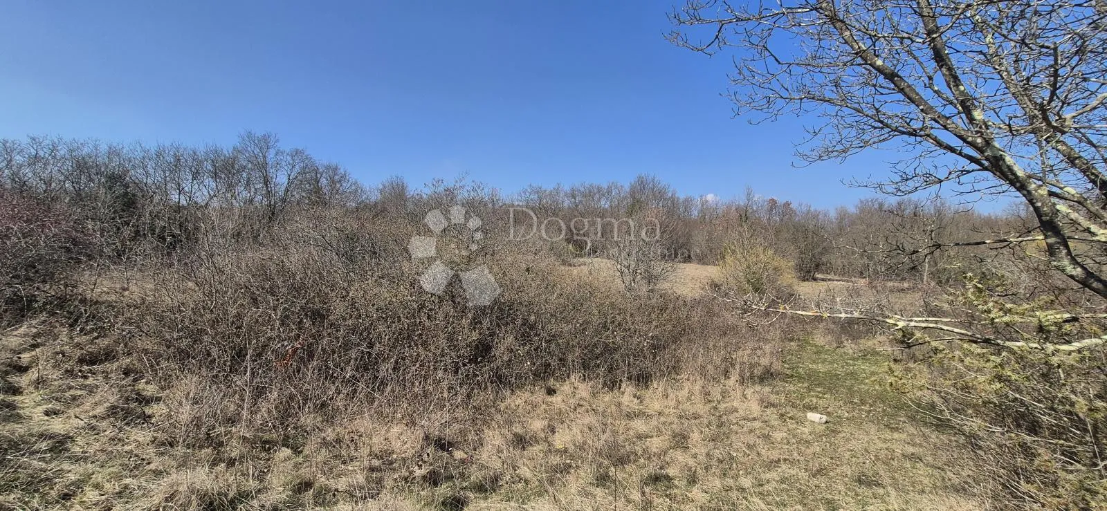 poljoprivredno zemljište površine 7962 m2 - slika 10