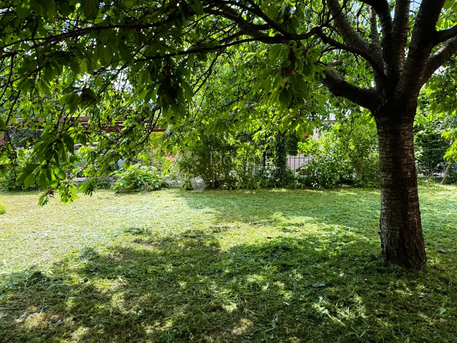 spoj urbanog života i zelenog okruženja - slika 13