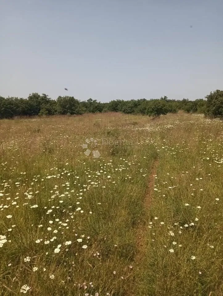 poljoprivredno zemljište 47760m2 - krmed - slika 2