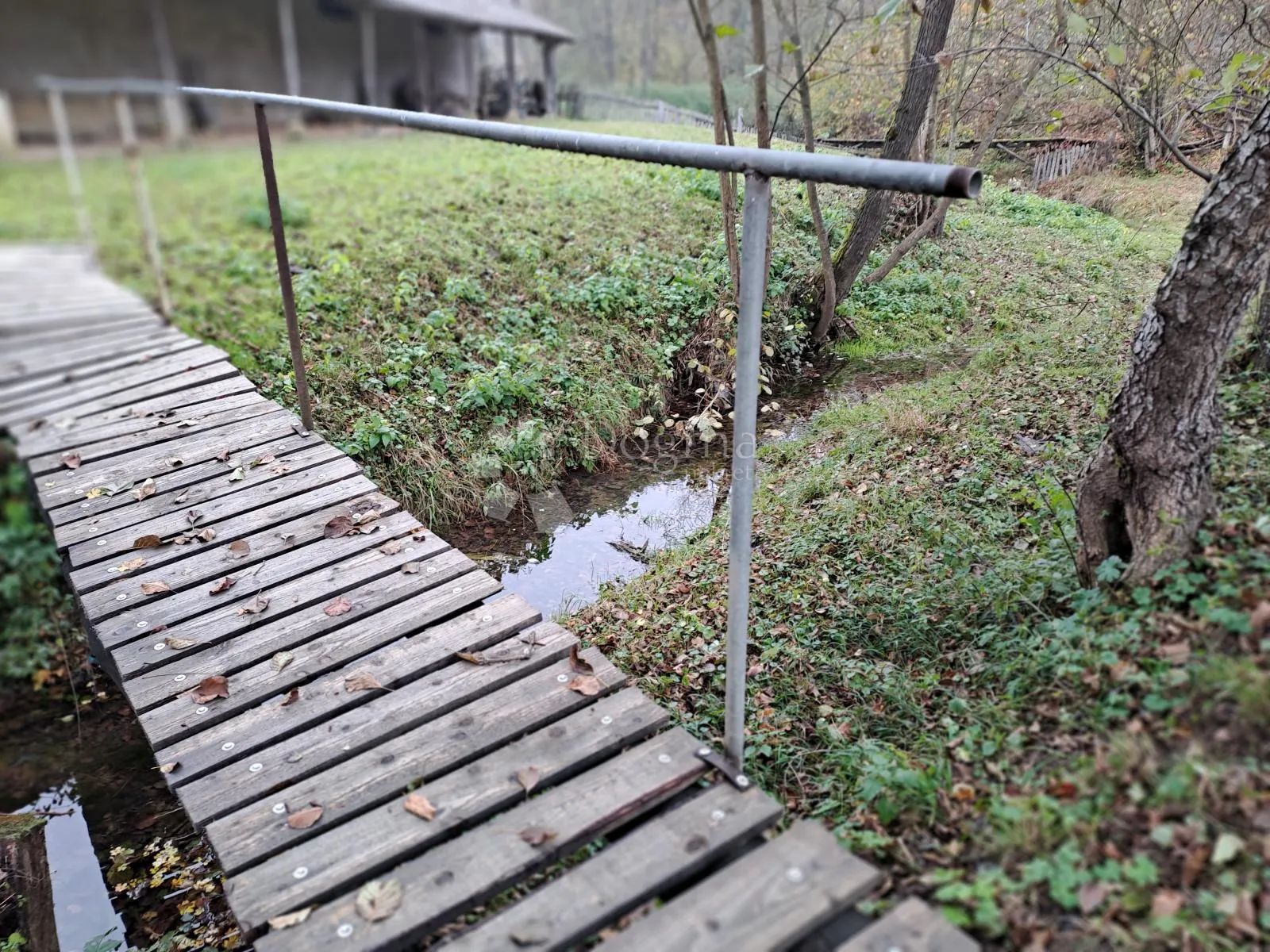 uživancija za konjiće, kravice ili ljude - slika 27