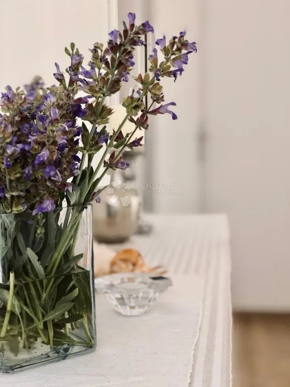 kuća na pagu s velikim dvorištem - 310m2 - slika 28