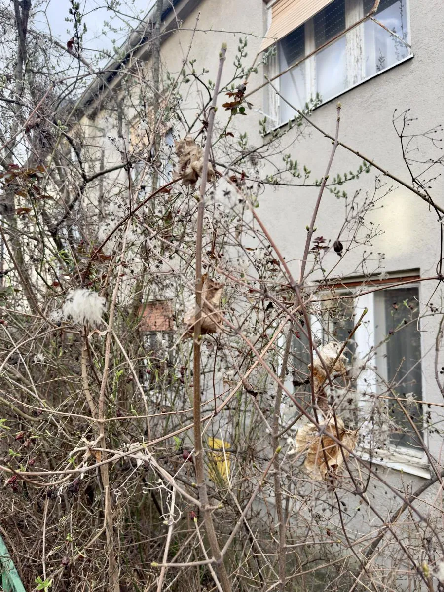 blizina petrove, pravomoćna građevinska dozvola - slika 7
