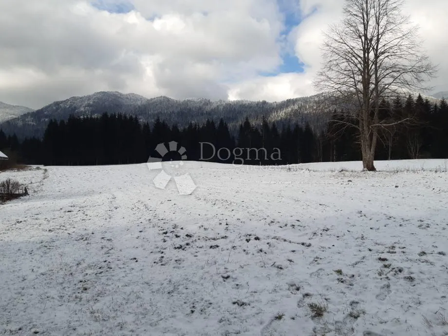 plac na bjelolasici - slika 3