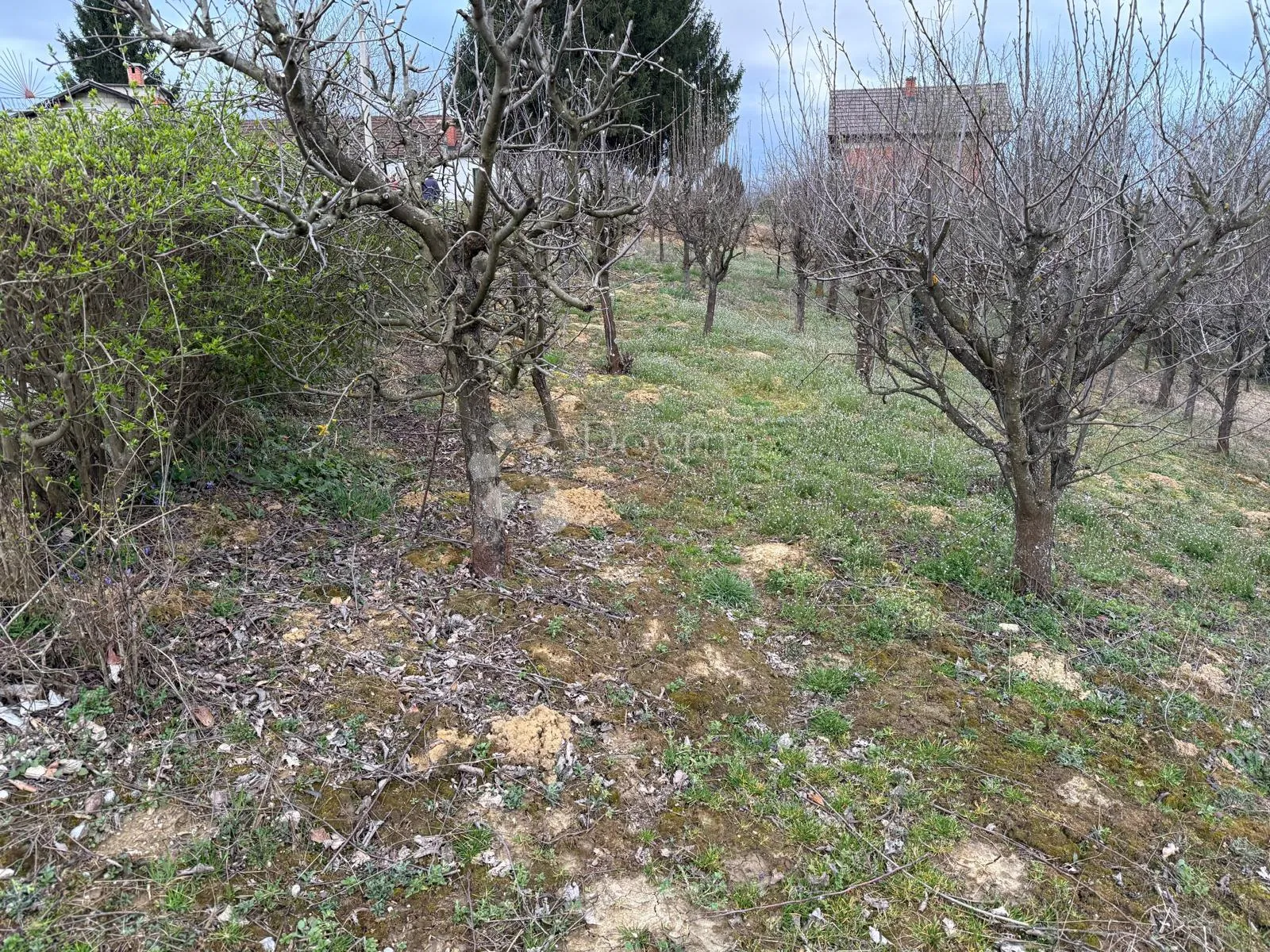 zemljište u črešnjevu - slika 9