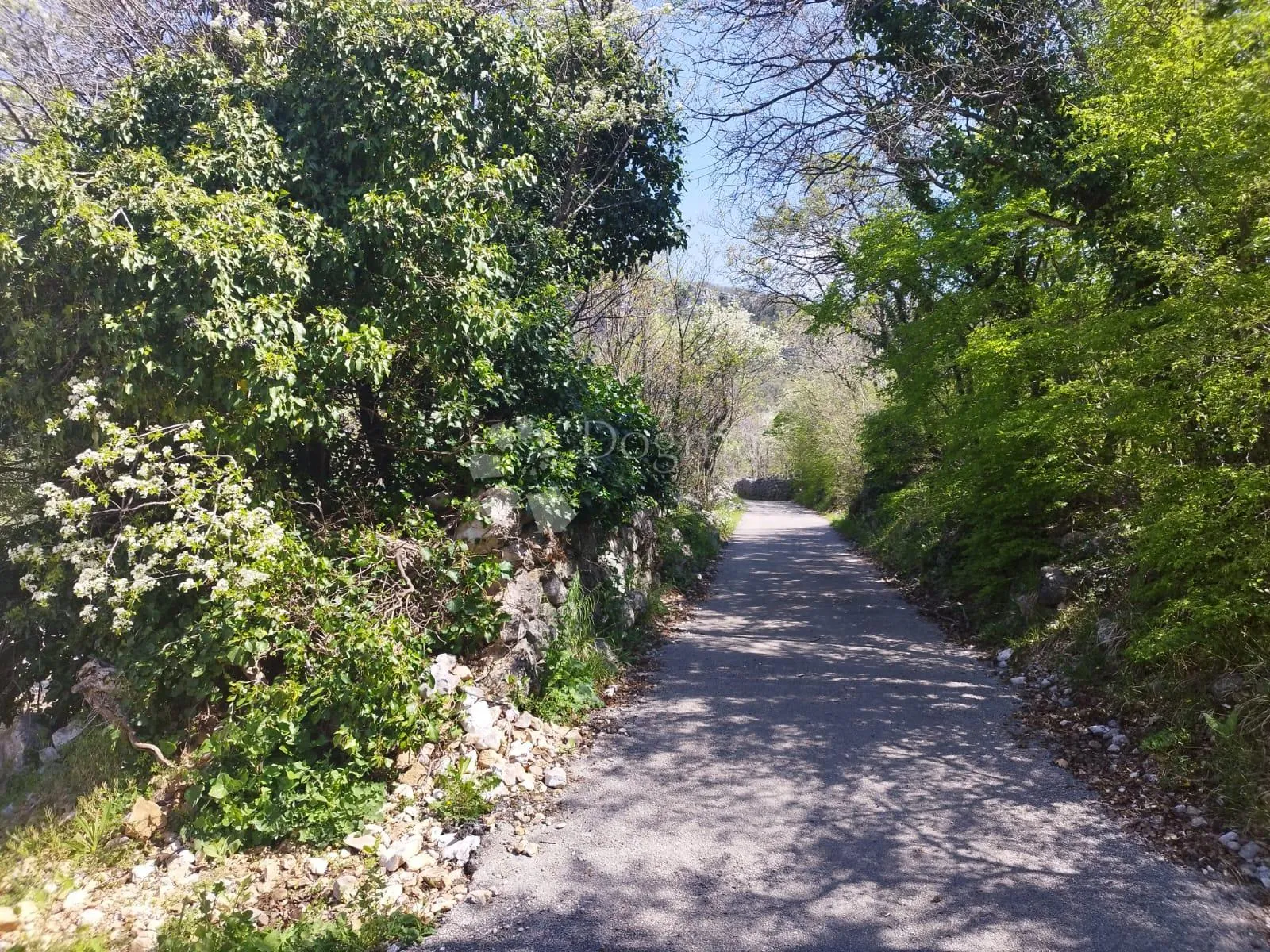samo u dogmi! prekrasno zemljište sa pogledom na more - slika 2