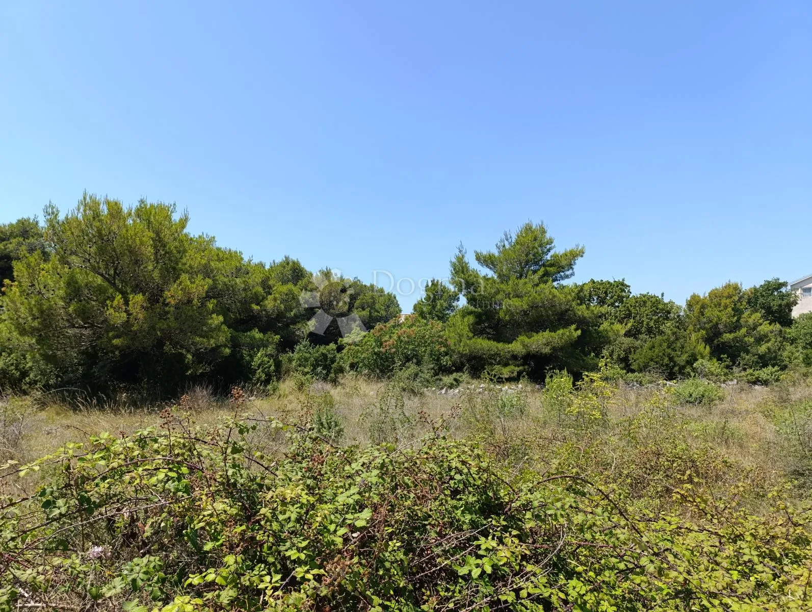 drage - pakoštane - građevinsko zemljište 445m2 - slika 2
