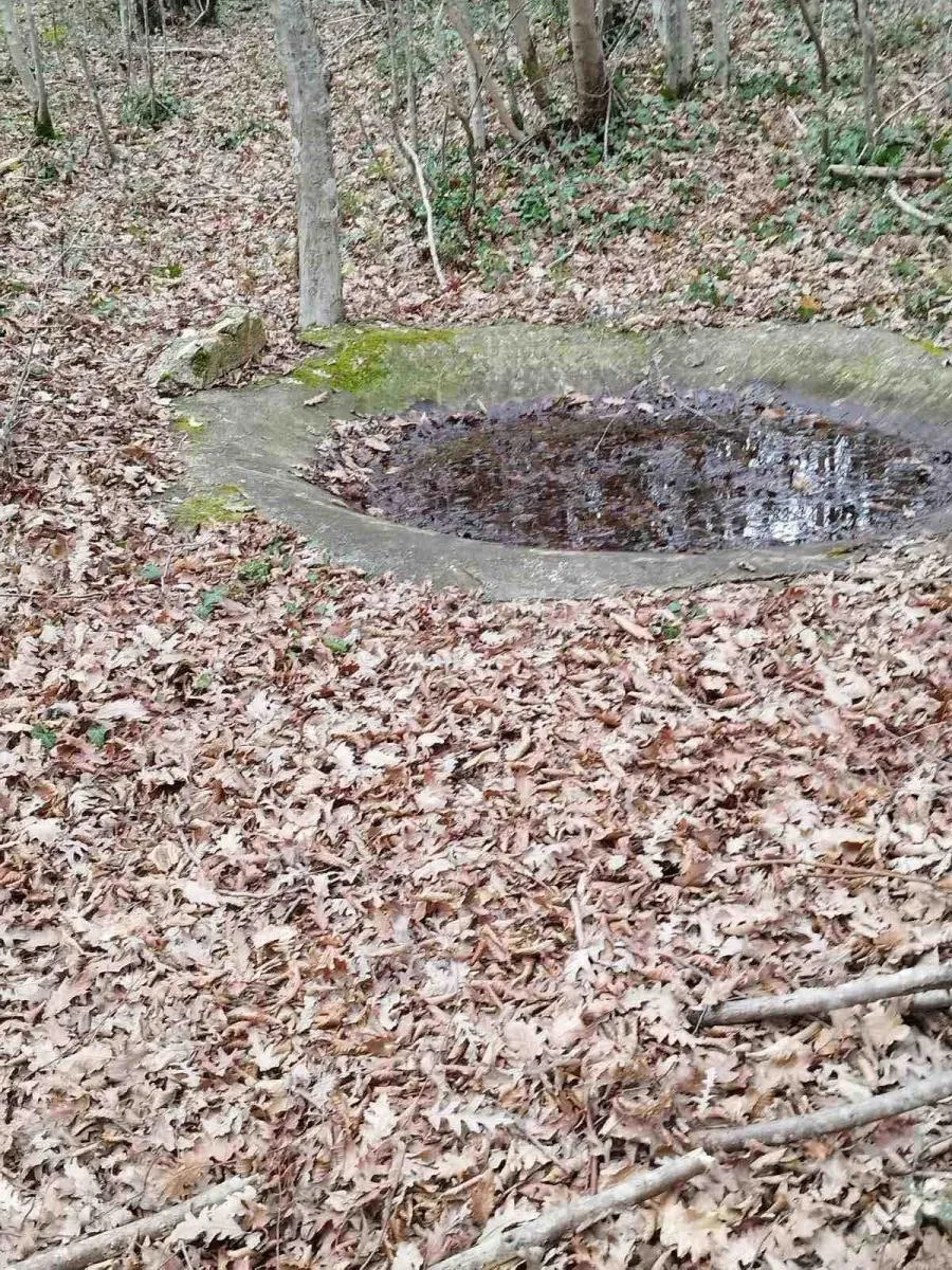 prostrana šuma površine 11669m2, blizina naselja!! - slika 11