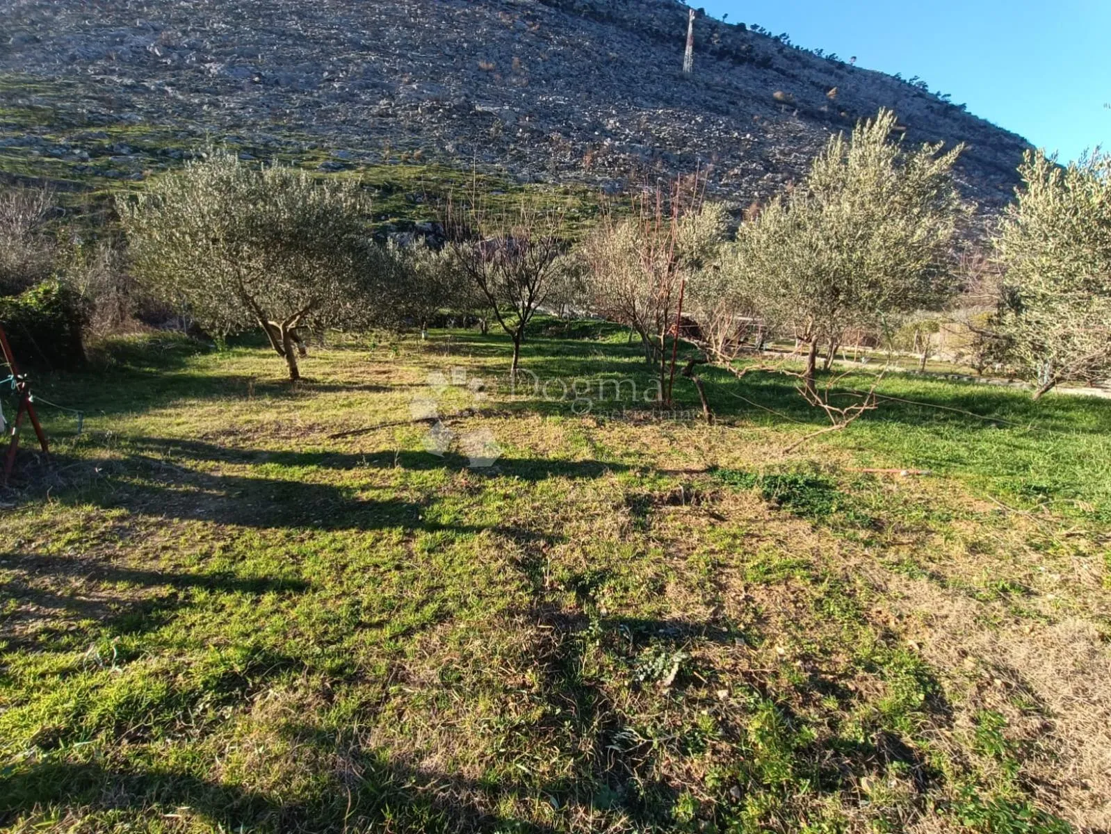 prilika! poljoprivredno zemljište srinjine, split - slika 4