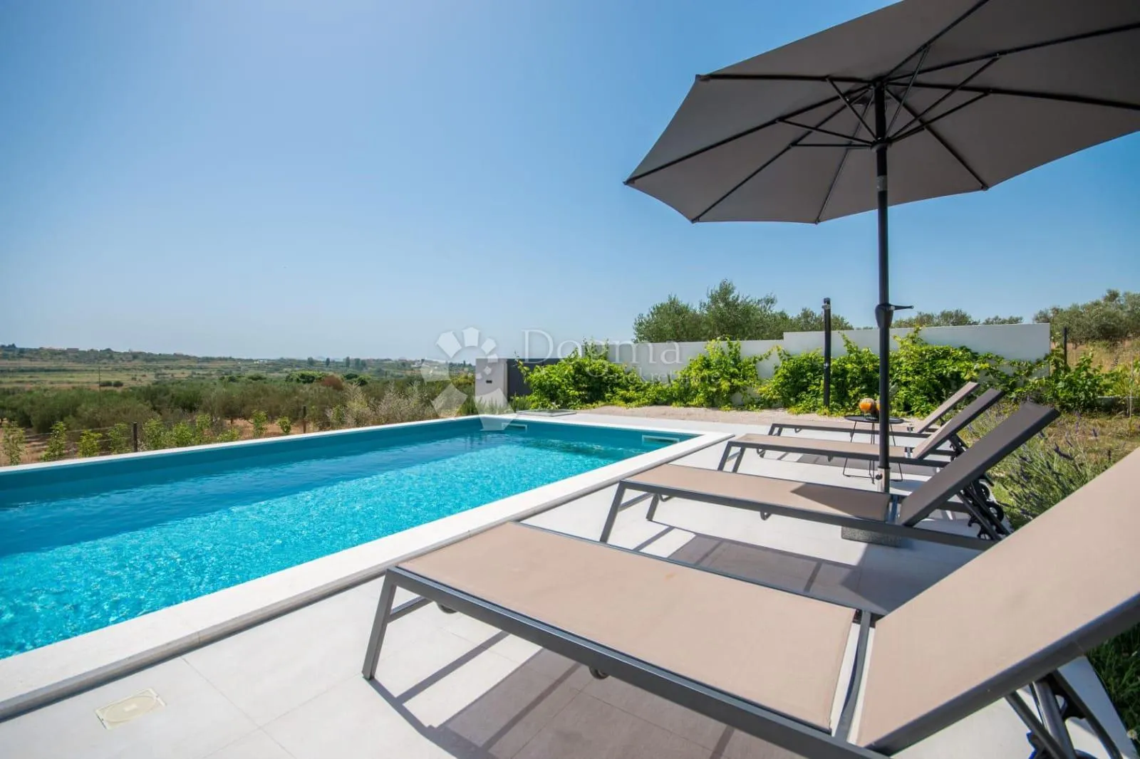 vila s bazenom i velikim maslinikom, crno - zadar! - slika 20