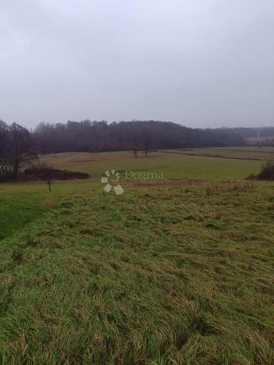 Kockasta parcela 8250 m2 - Bratina, Pisarovina